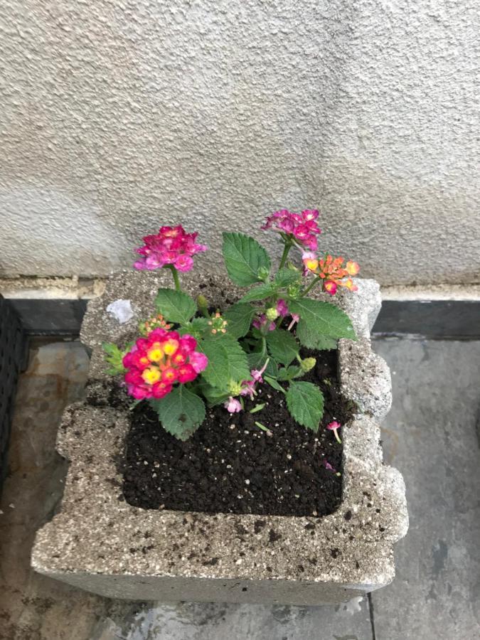 Apartment Betlemi Τυφλίδα Εξωτερικό φωτογραφία